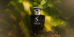 S Parfum & Cosmetics: Uma Jornada Internacional de Excelência em Perfumaria e Cosméticos